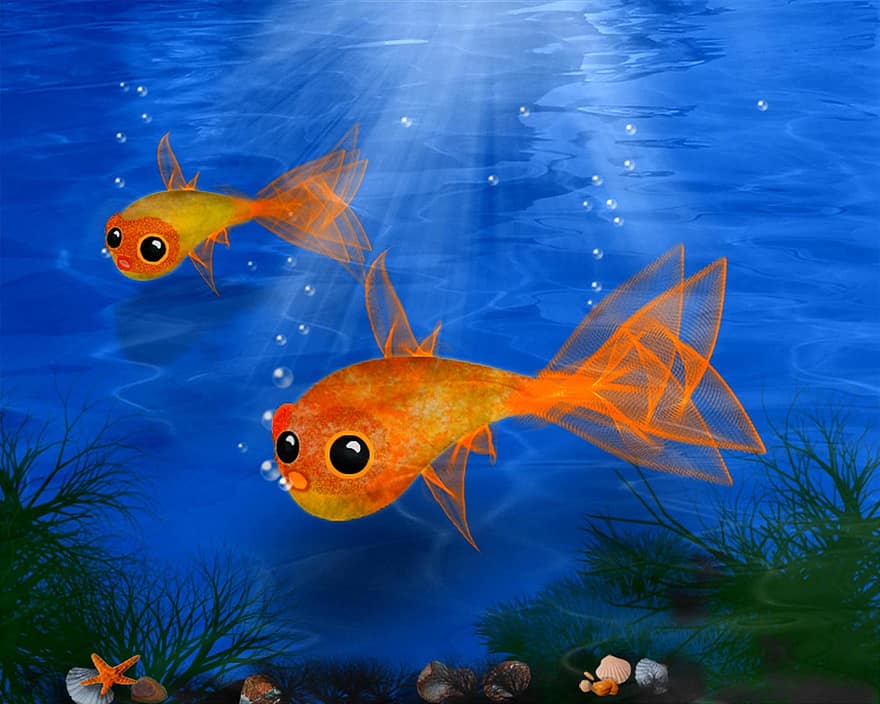 zlatá rybka, Ryba, voda, rybník, oranžový