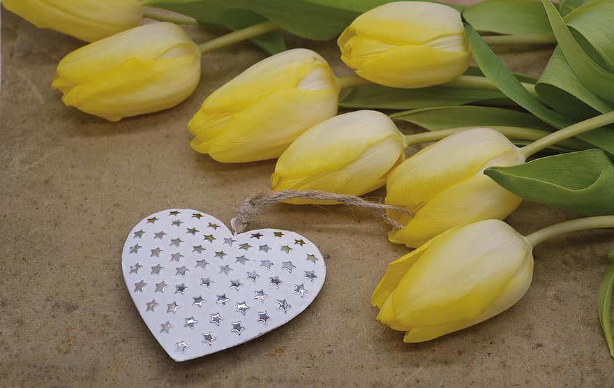 tulipán, sárga tulipánok, csokor, sárga virágok, sárga, szeretet, virág, románc, frissesség, virágfej, levél növényen