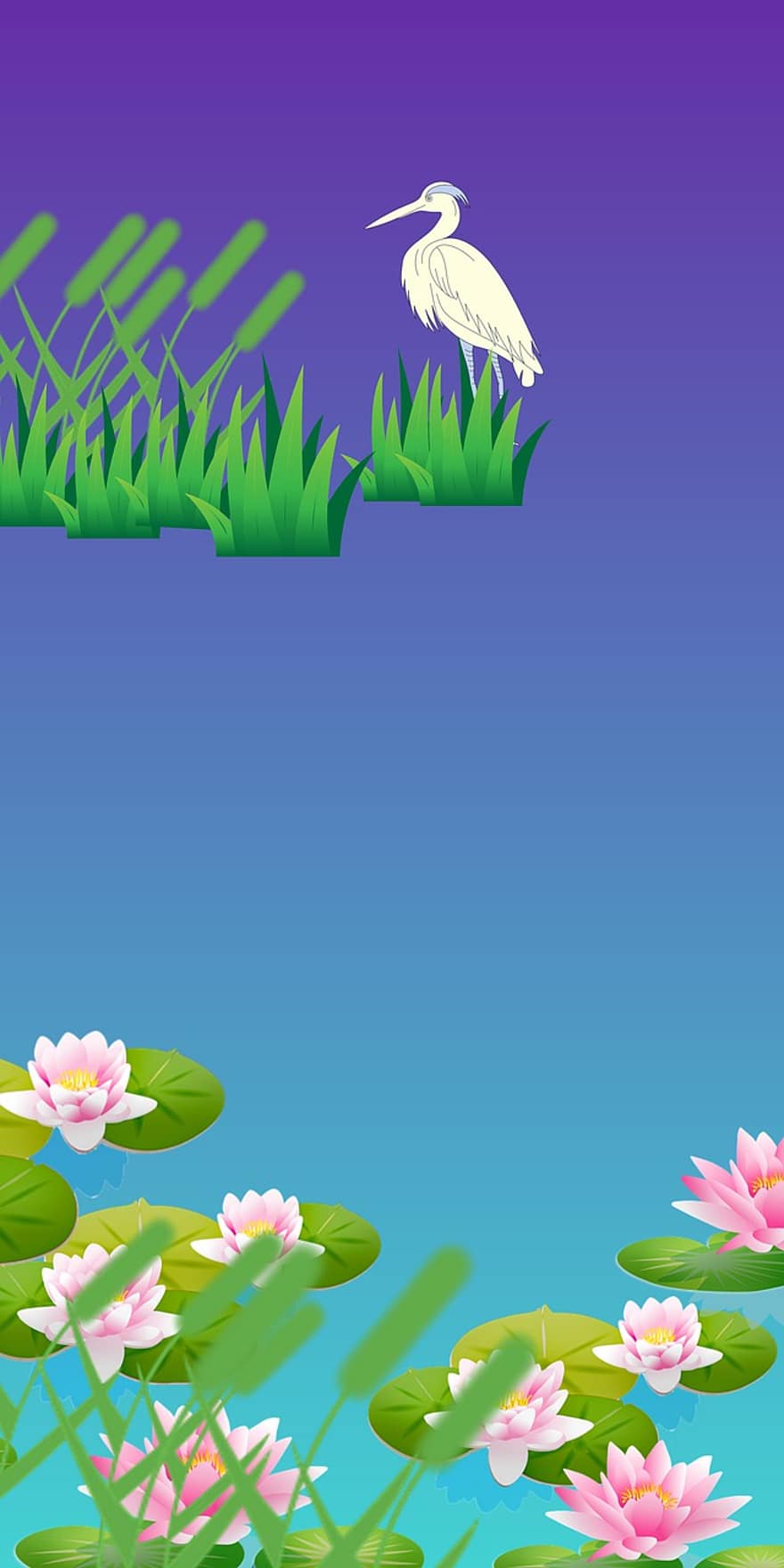 Pond, Lotus, Water Lilies, Digital Art, grass, vector, illustration, backgrounds, summer, plant, flower