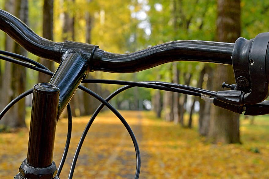 kerékpár, ősz, park, sikátor
