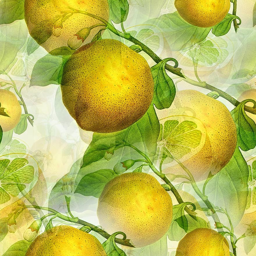 citroner, frukt, träd, citrus-, organisk, sömlös, textil-, mönster, tapet, dekor, årgång