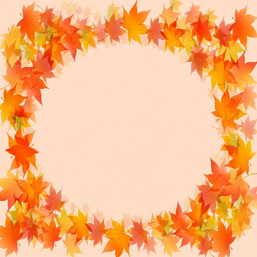 podzimní pozadí, dřevo, podzim, Příroda, listy, barvitý, les, pozvání, zelená, hnědý, textura