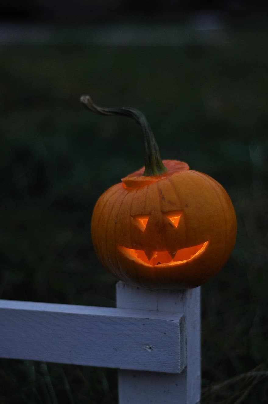 Halloween, Pumpkin, Scary, Autumn