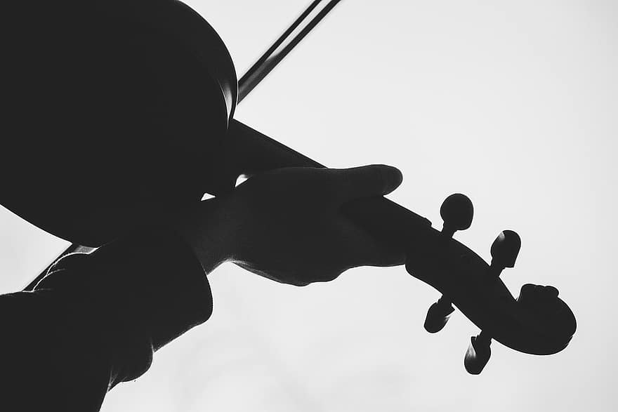 viulu, siluetti, musiikki, musiikki-instrumentti, muusikko, ihmisen käsi, pelaaminen, lähikuva, mustavalkoinen, taustavalaistu, yksi henkilö