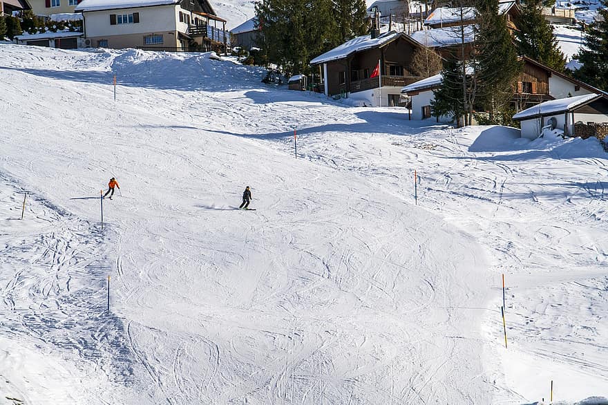 การเล่นสกี, ลาด, ฤดูหนาว, หิมะ, กีฬา, การพักผ่อนหย่อนใจ, หมู่บ้าน, บ้าน, ต้นไม้, กองหิมะที่ถูกลมพัดมากองไว้, ภูเขาแอลป์