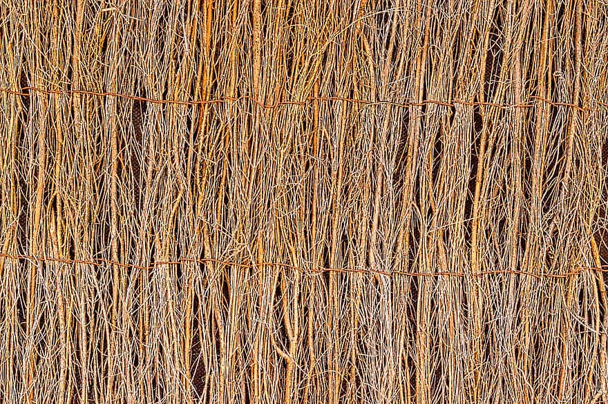 Fence, Twigs, Texture, Plants, Wood, Surface