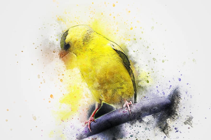 pájaro, animal, Art º, resumen, acuarela, vendimia, naturaleza, camiseta, artístico, diseño, salpicadura de pintura