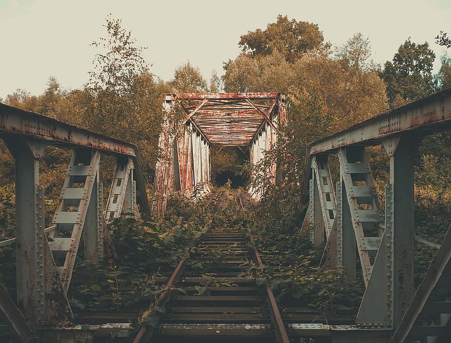 kereta api yang ditinggalkan, jembatan terlantar, jembatan, reruntuhan, grunge, Arsitektur, tua, musim gugur, rel kereta, hutan, angkutan