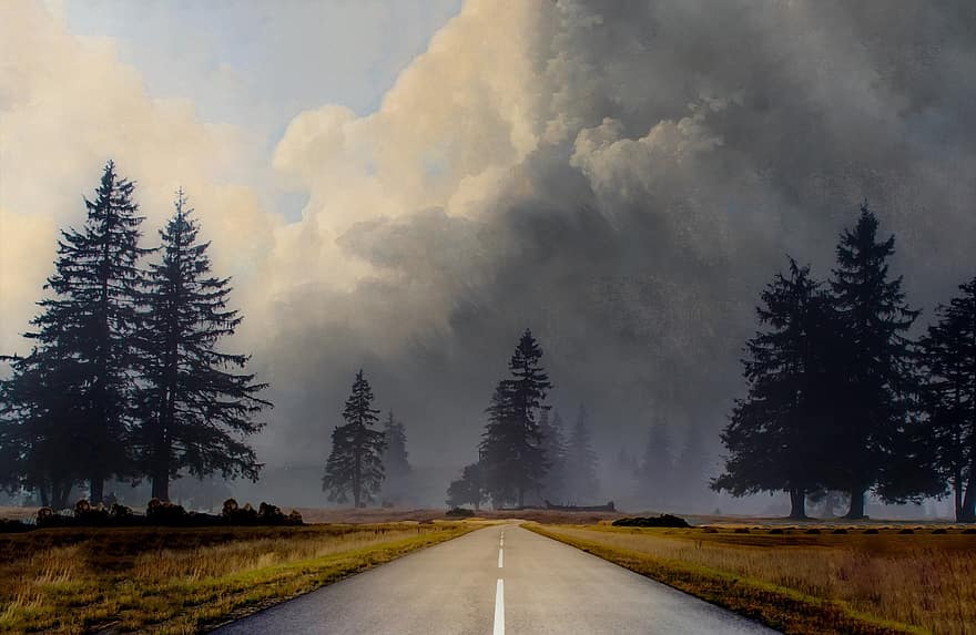 väg, tallar, dimma, storm, väder, moln, resa, motorväg, natur, landskap, träd