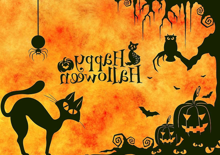 Halloween, gat, estrany, surrealista, atmosfera, horripilant, carbassa, aranya, mussol, silueta