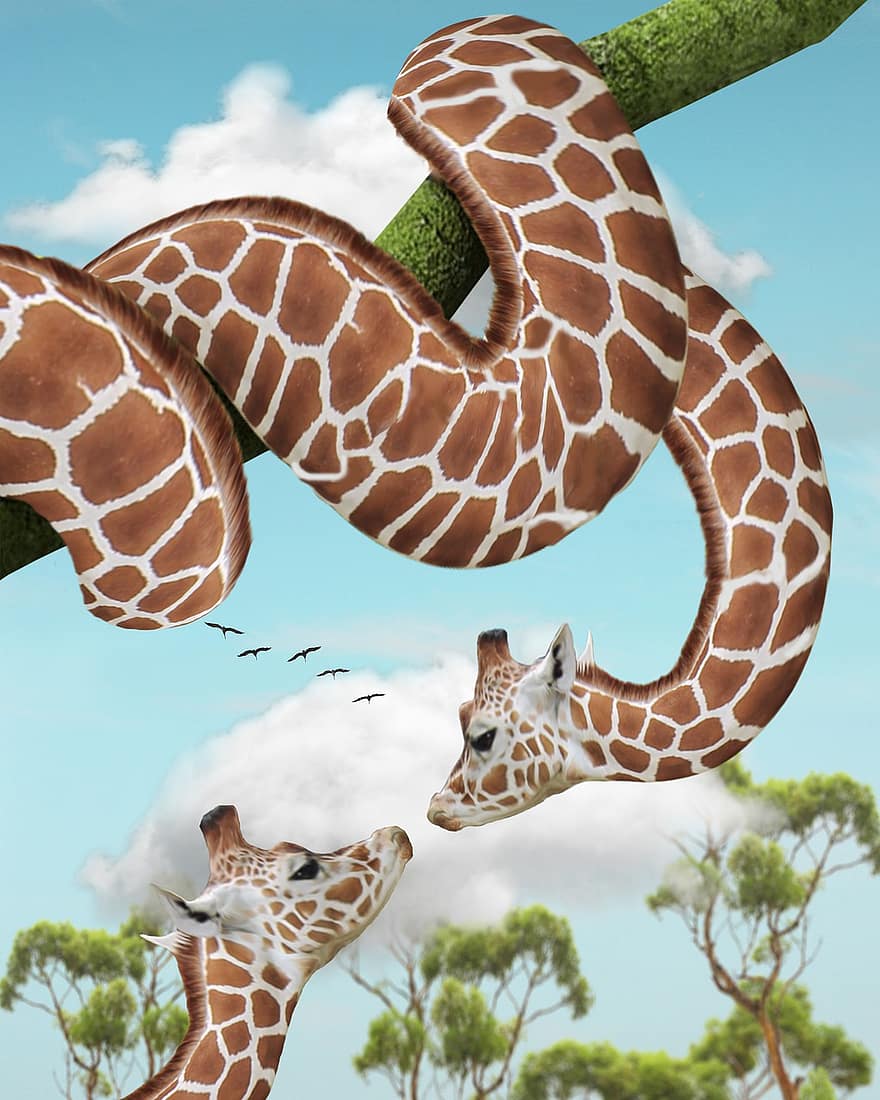 manipulation, giraff, orm