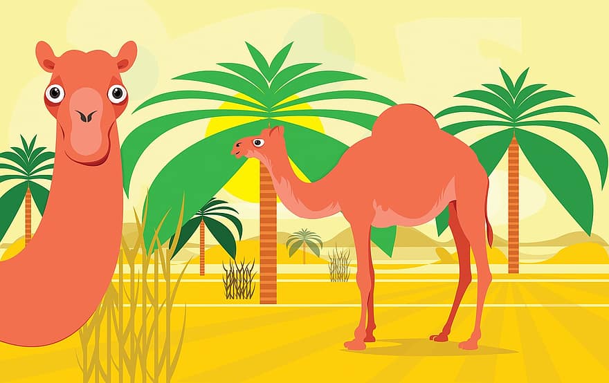 Immagine, cammello, deserto, caldo, palma, tabacco, arabo, Africa, stile arabo, stile africano, cartone animato africano