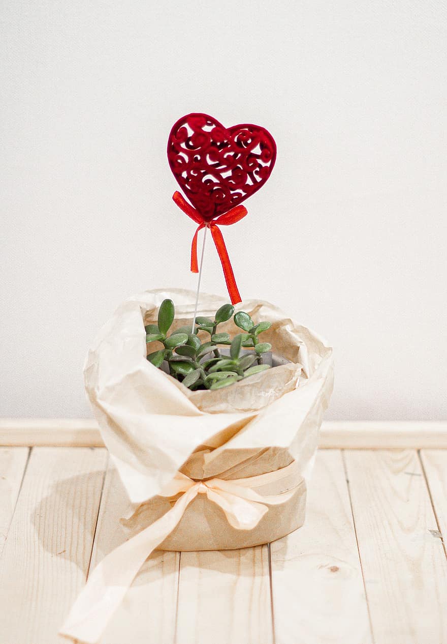 Свети Валентин, обичам, подарък, изненада, във формата на сърце, пакет, романтика, украса, листо, дърво, хартия