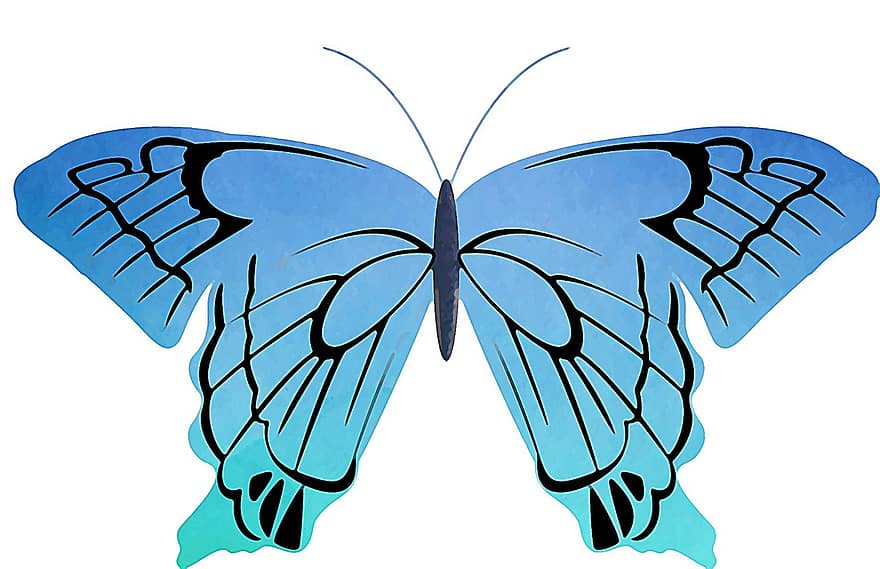 bleu, papillon, insecte, aquarelle, printemps, aile, été, la nature, coloré, fond papillon, brillant