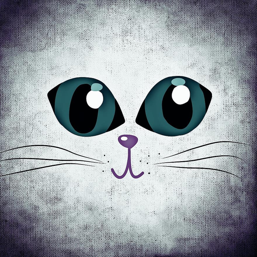 olhos, olhos de gato, engraçado, gato, animal, fofa