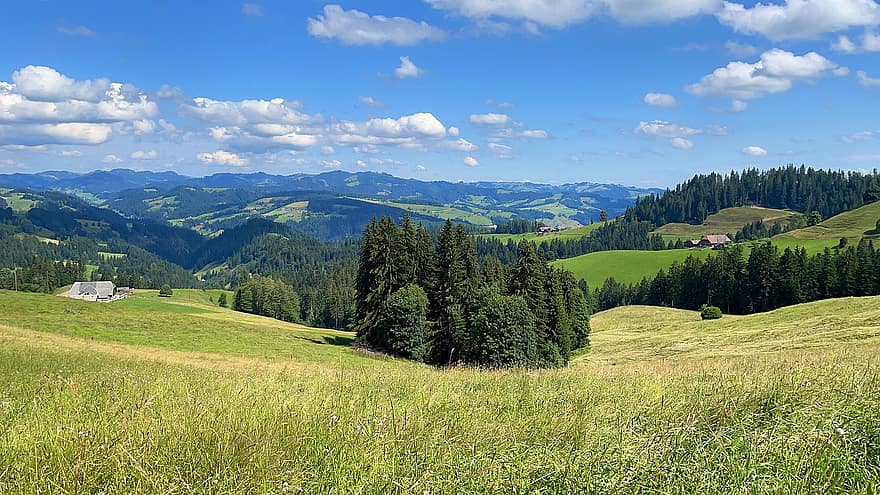 Nature, Meadow, Travel, Exploration, Outdoors, Emmental
