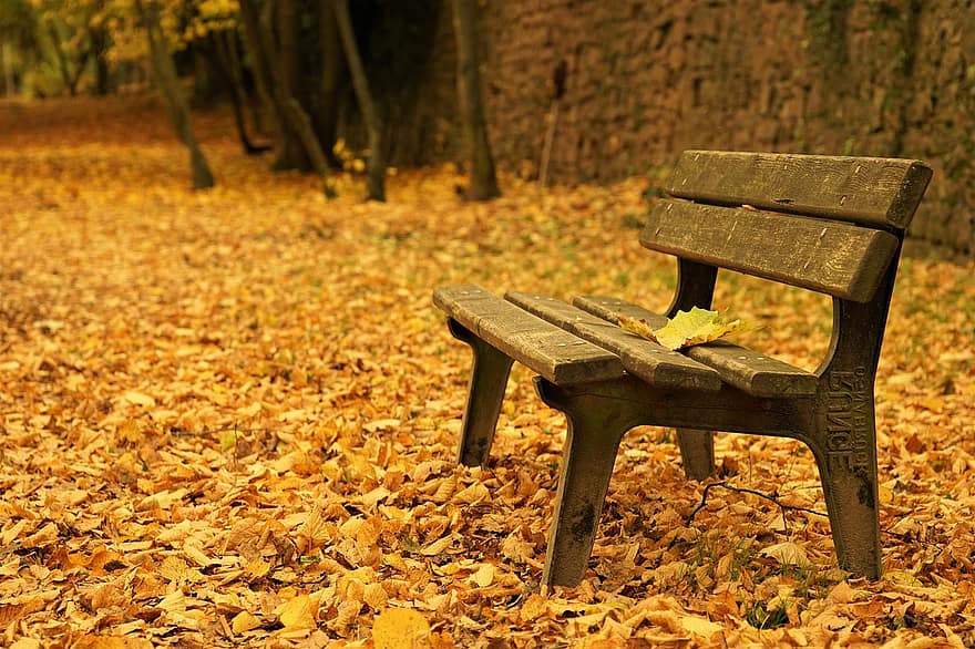 lavice, podzim, park, listy, Příroda