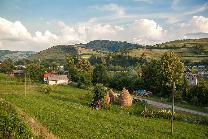 Karpati, ukraina, kalni, raksturs, ainavu, ciemats, laukos, lauku ainas, saimniecība, pļava, vasarā