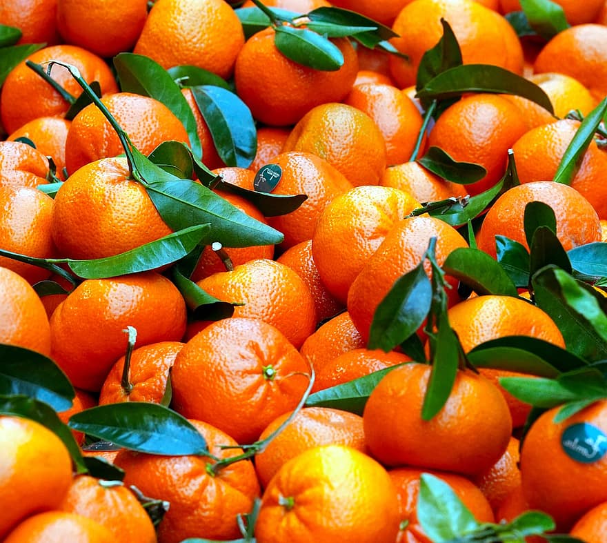 Mandarin, buah-buahan, makanan, segar, sehat, matang, organik, manis, menghasilkan, buah, Jeruk