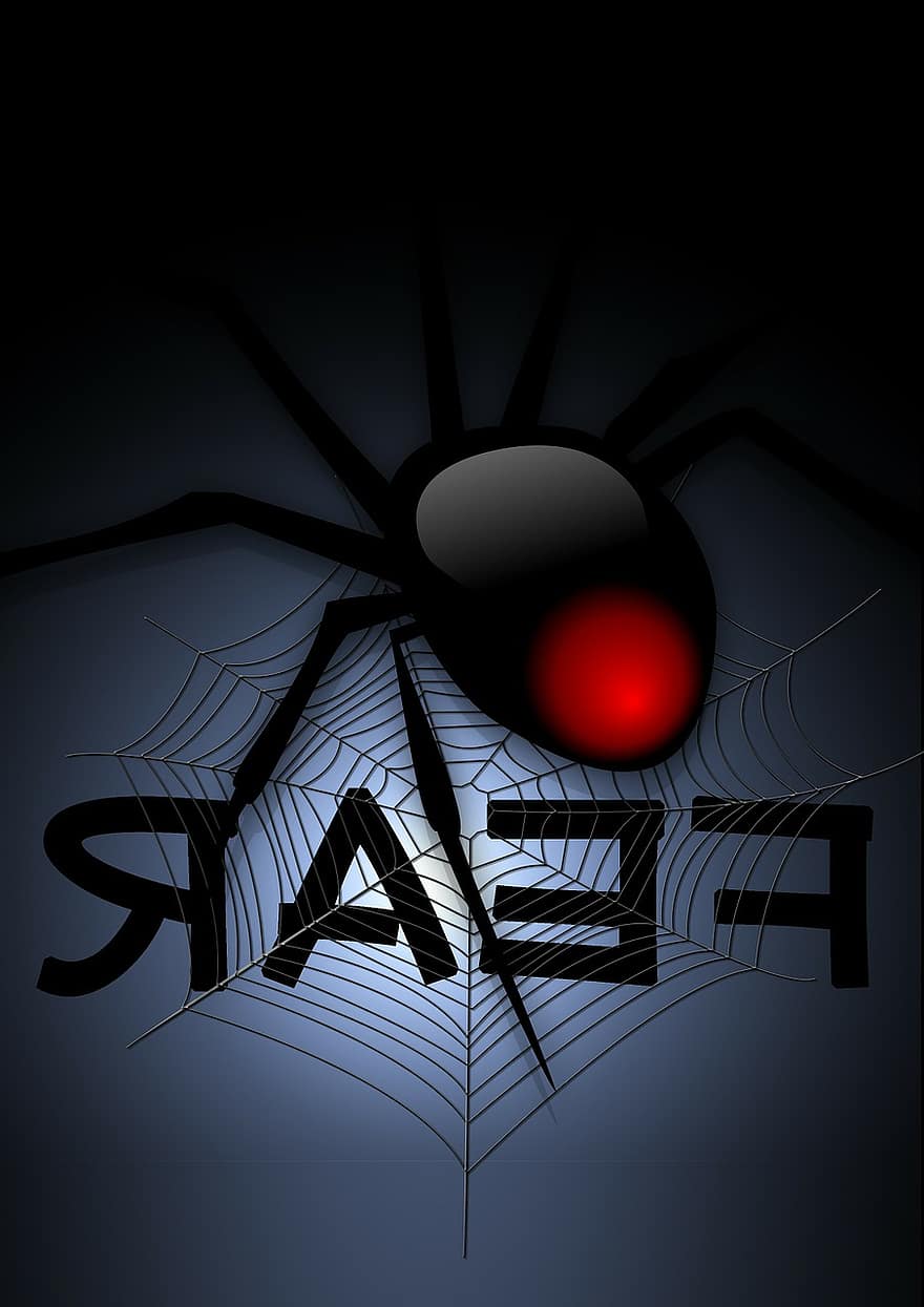 Cobweb, Web, Spider, Fear, Creepy, Arachnophobien