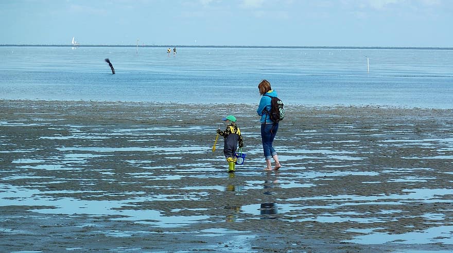 شاطئ بحر ، أم وطفل ، يمشي على طول الشاطئ