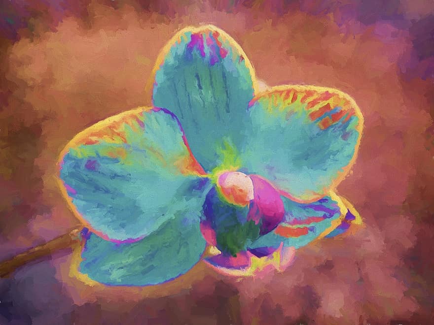 taidemaalaus, nykytaide, Kukka maalaus, kukka, sininen, pinkki, orkidea, maali-, taiteellinen, värikäs, kuvamateriaali