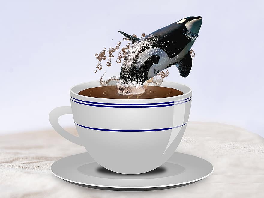illustrazione, mattina, caffè, allegria, energia, balena assassina, saltare, tazza, idea