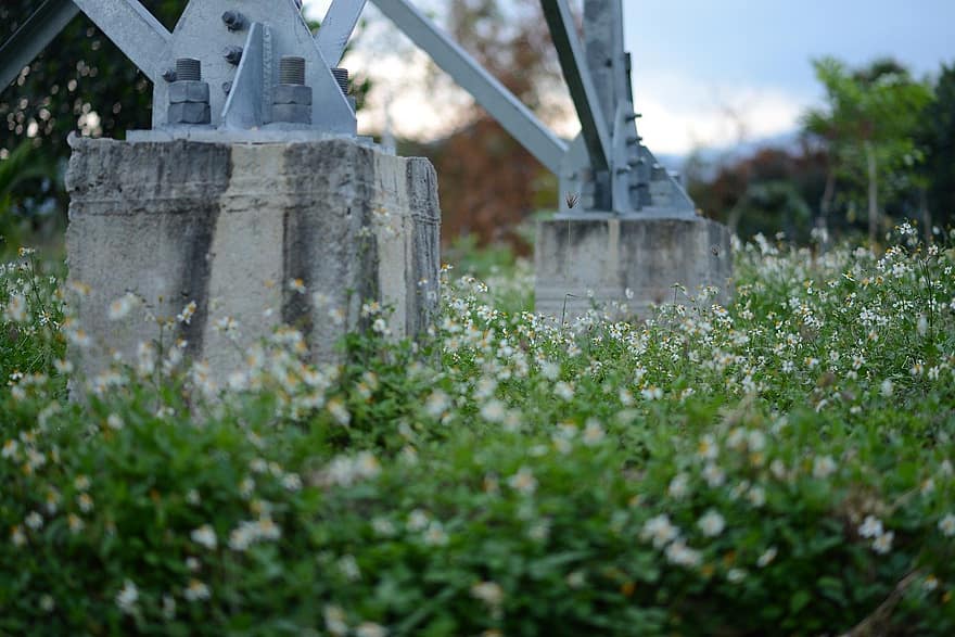 meadow, flowers, bloom, tombstone, christianity, grave, religion, grass, death, old, tomb