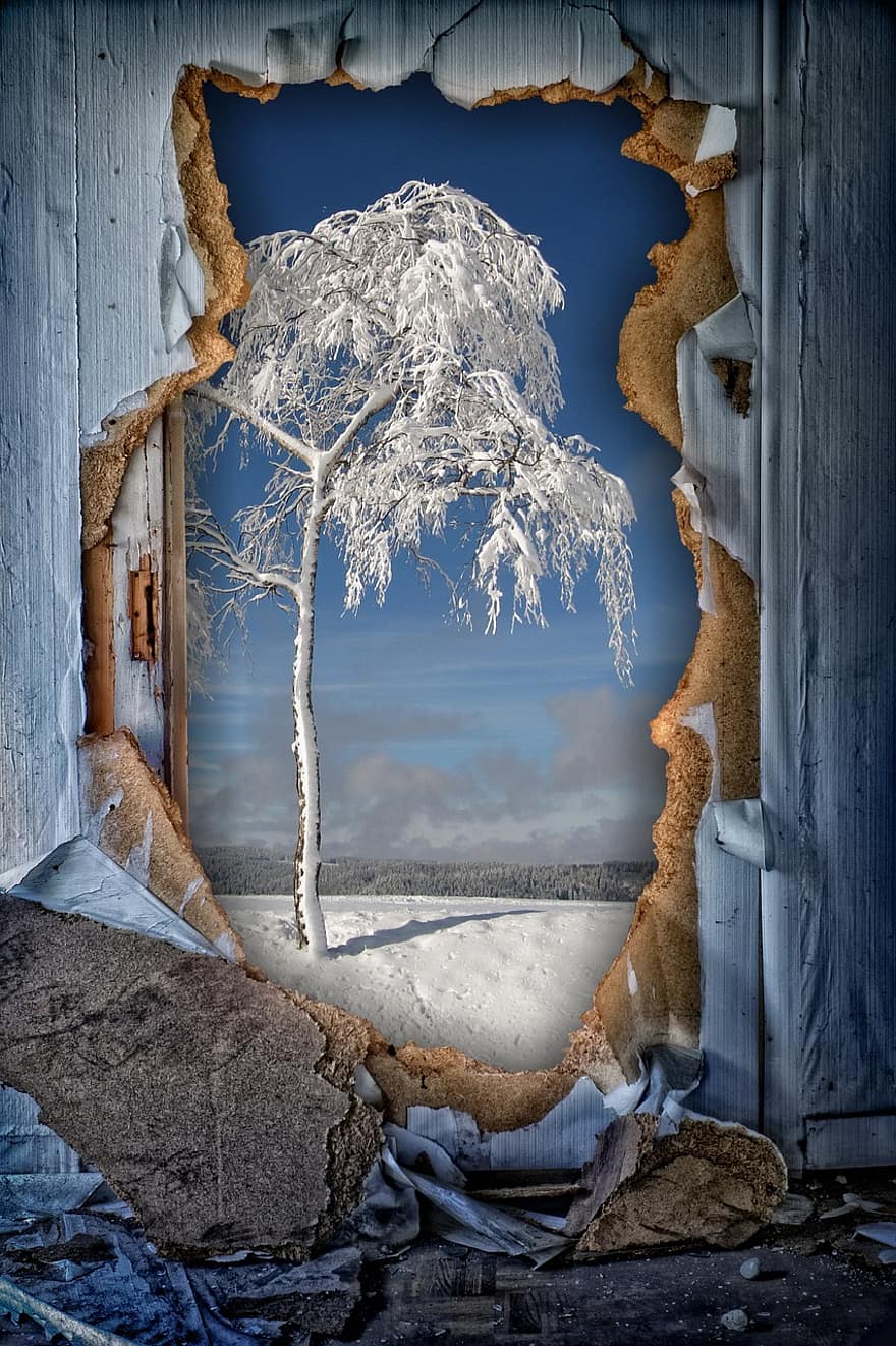 talvi-, puu, seinä, reikä, nähdä läpi, katsomalla, luonto, lumi, talvinen, luminen, maisema
