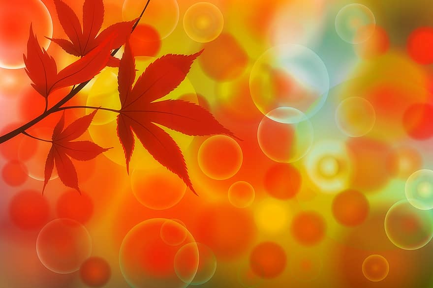 Hintergrund, Desktop, Herbst, Orange, Blätter, abstrakt, Gelb, bunt, Natur, Farbe, Laub