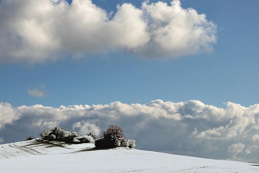 언덕, 눈, 구름, 겨울, 냉랭한, 눈이 내리는, 나무, 경치, 목가적 인, 풍경화