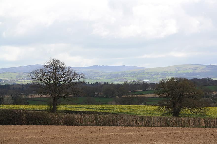 rural, natureza, ao ar livre, campo, Shropshire, Stiperstones, colinas, cênico, panorama