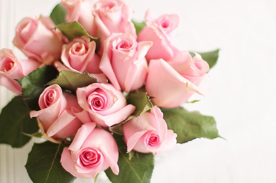 गुलाब के फूल, गुलाबी, वैलेंटाइन दिवस, फूल, पत्ती, रोमांस, प्रेम प्रसंगयुक्त, प्रेम, वेलेंटाइन, फूलों, पुष्प गुच्छ