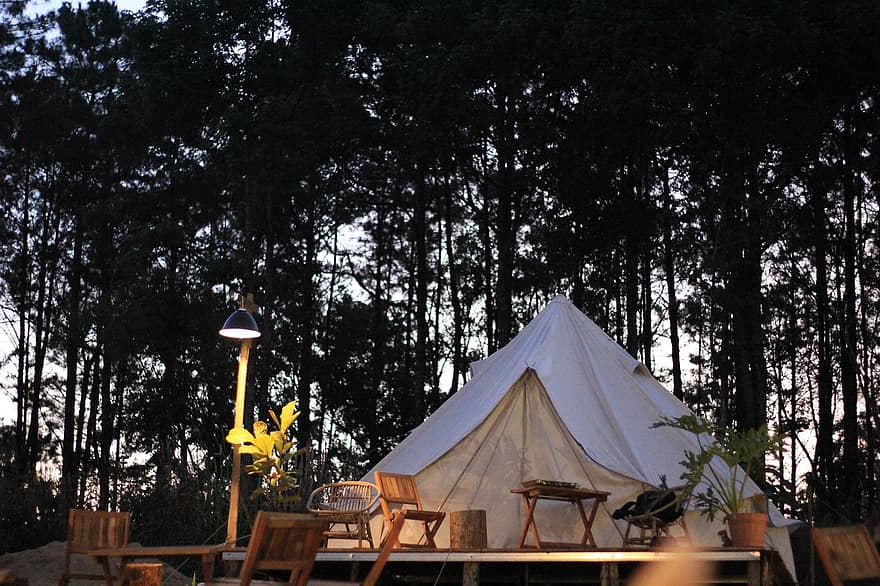 Glamping, campeggio, tenda, boschi, foresta