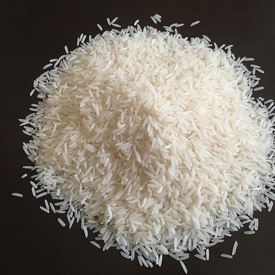 arroz de grão longo, arroz