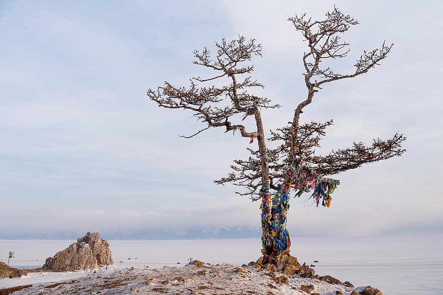 sibirien, Rusland, Baikal, shaman, træ, Shamanbjerget, udendørs, vinter, sne, sæson, bjerg