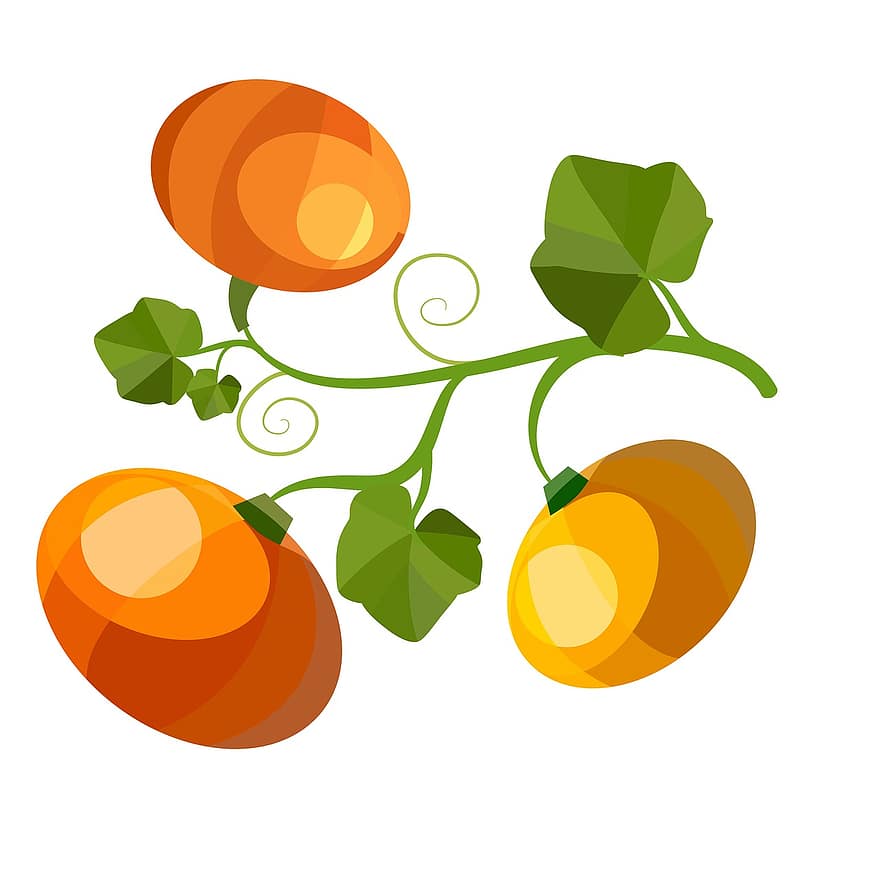 dovleac, frunze, fruct, portocale, galben, verde, răsuci, Halloween, frunze verzi, tineri, gradina de legume