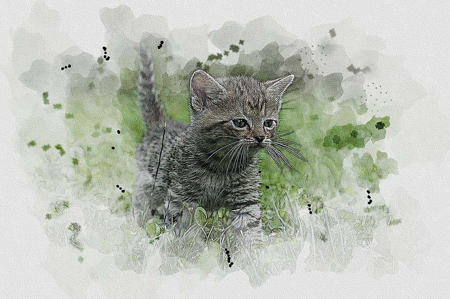 акварел, чертеж, живопис, котка, коте, трева, котки, котенце, сладък, животно, ширит