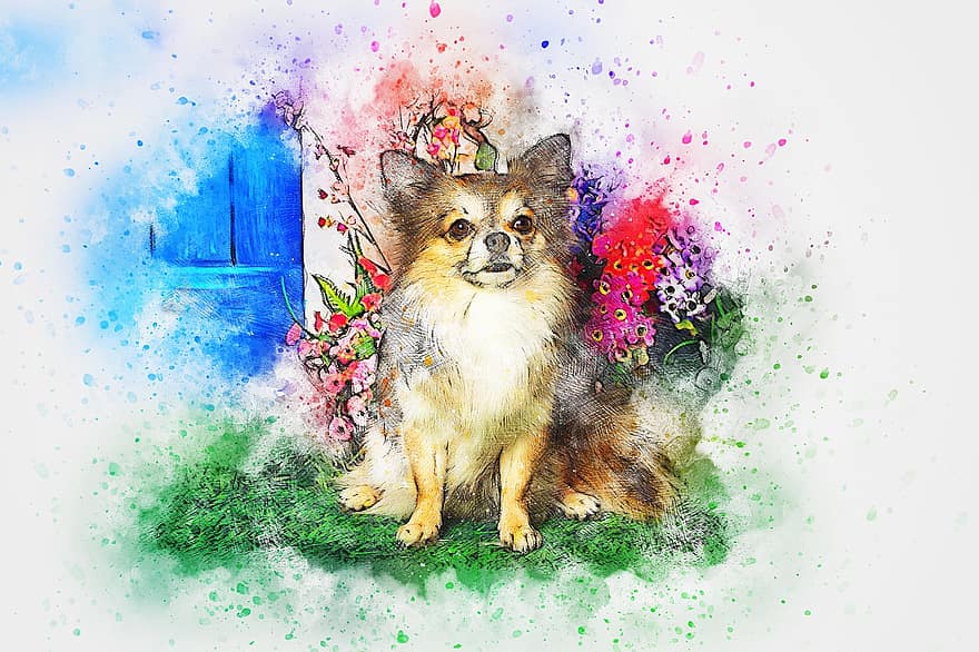 koira, istuva, eläin, taide, akvarelli, chihuahua, vuosikerta, pentu, lemmikki-, tunne, T-paita
