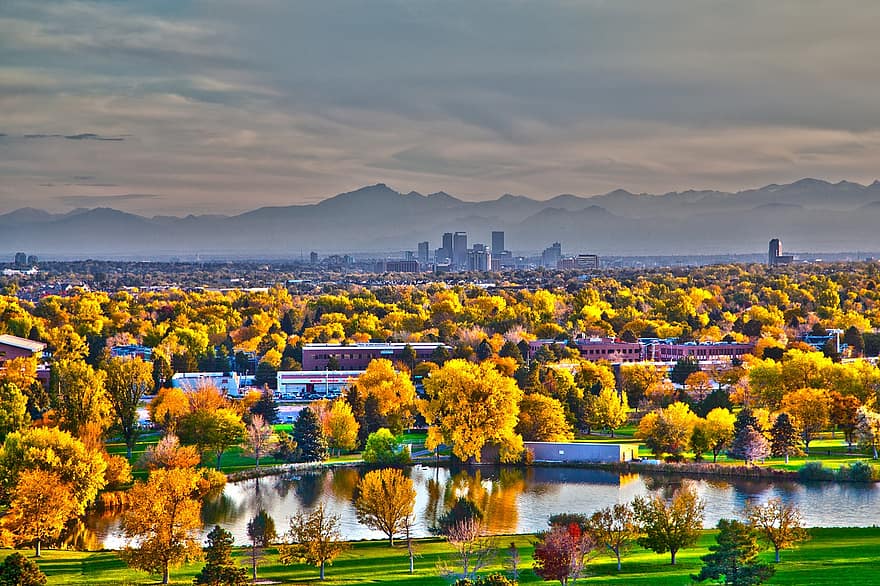 træer, efterår, bjerg, sæson, Denver, colorado, panoramisk, scene, natur