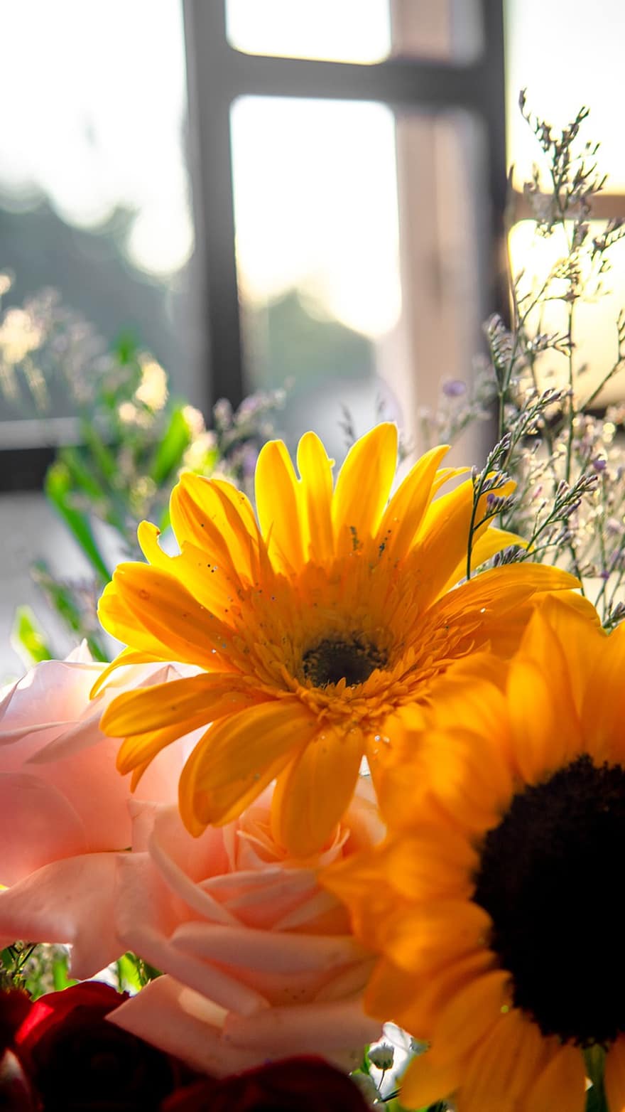 цветя, красиви цветя, слънчогледи, кошница с цветя