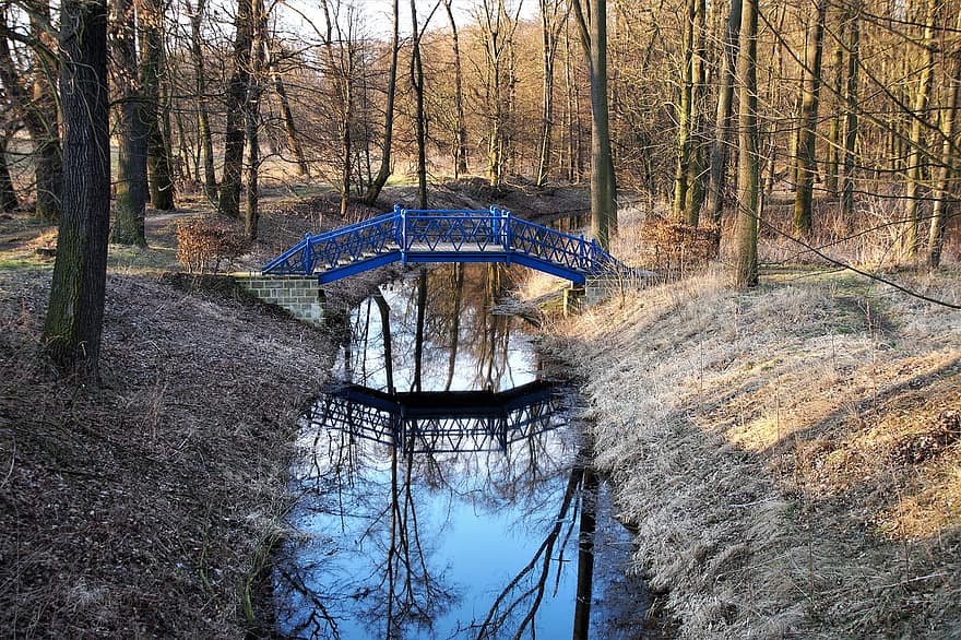 River, Bridge, Forest, Trees, Brook, Footbridge, Metal Bridge, Water, Reflection, Nature, Park