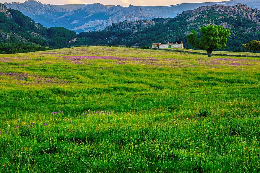 Prairie, Sunset, Mountains, Meadow, Spring, Nature, Landscape, grass, rural scene, mountain, summer