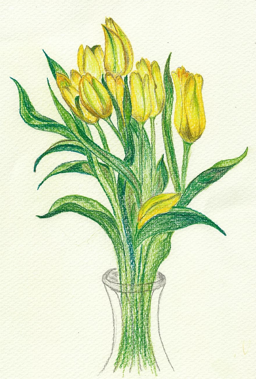 tulipaner, bukett, blomst, påske, gyldent regn, håndmaleri, blyant tegning, anlegg, blad, vase, illustrasjon