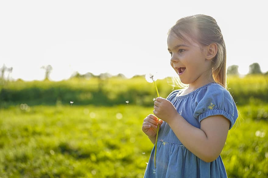 dandelion, छोटी बच्ची, एक इच्छा करें, सिंहपर्णी फुलाना, घास का मैदान, फूल, प्रकृति, सड़क पर, बच्चा, गर्मी, लड़कियाँ