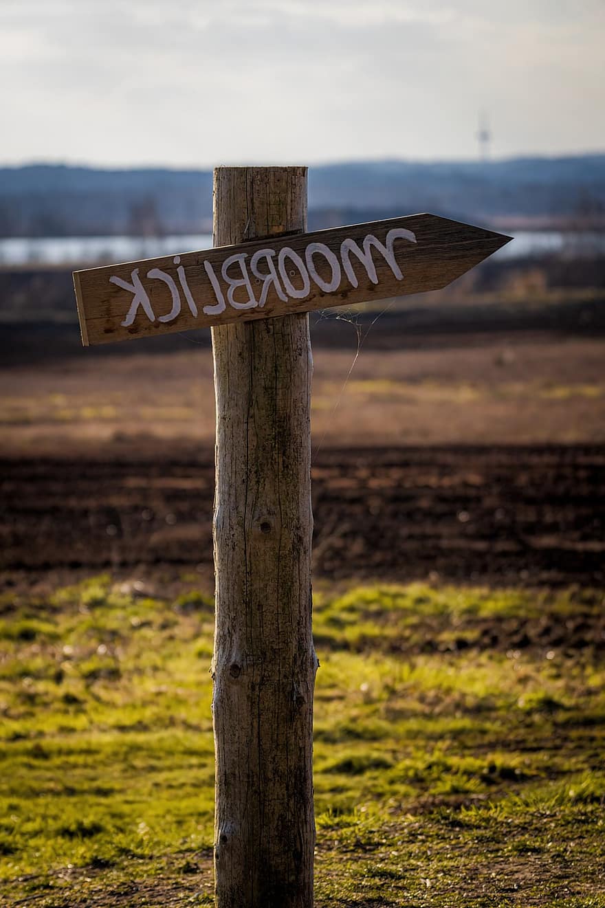 Sign, Moor, Nature, Outlook, Moor View, Board, Direction, wood, travel, grass, summer