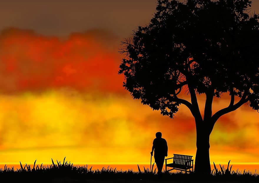 západ slunce, starý muž, siluety, strom, sama, osamělý, starší, třtina, senior, lavice, sedadlo