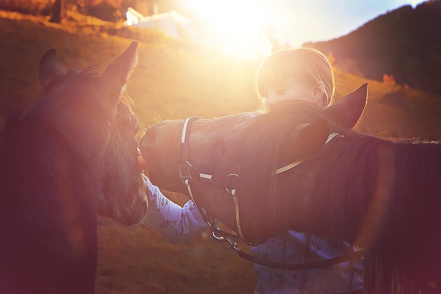 koně, poníci, dívka, milovat, dítě, večerní slunce, Jízda na ponících, kobyla, hříbě, spojka, zvířat