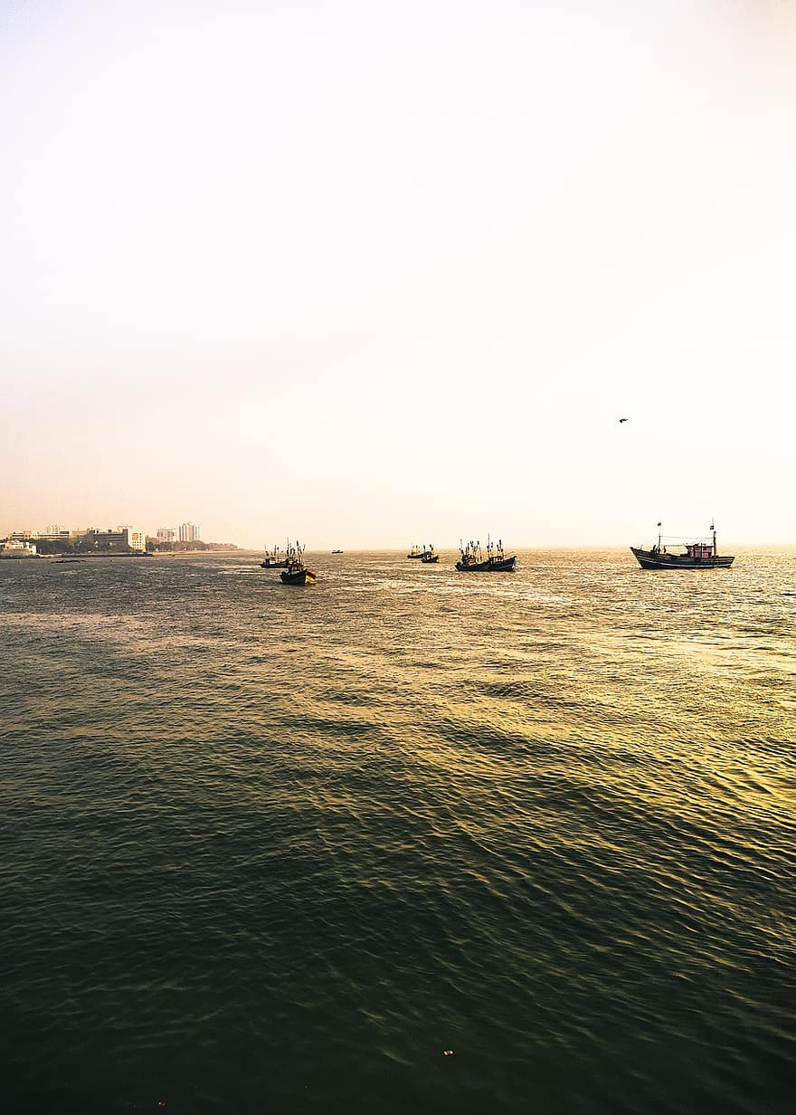海洋、ボート、朝、日の出、ムンバイ、インド、航海船、水、交通手段、日没、運送