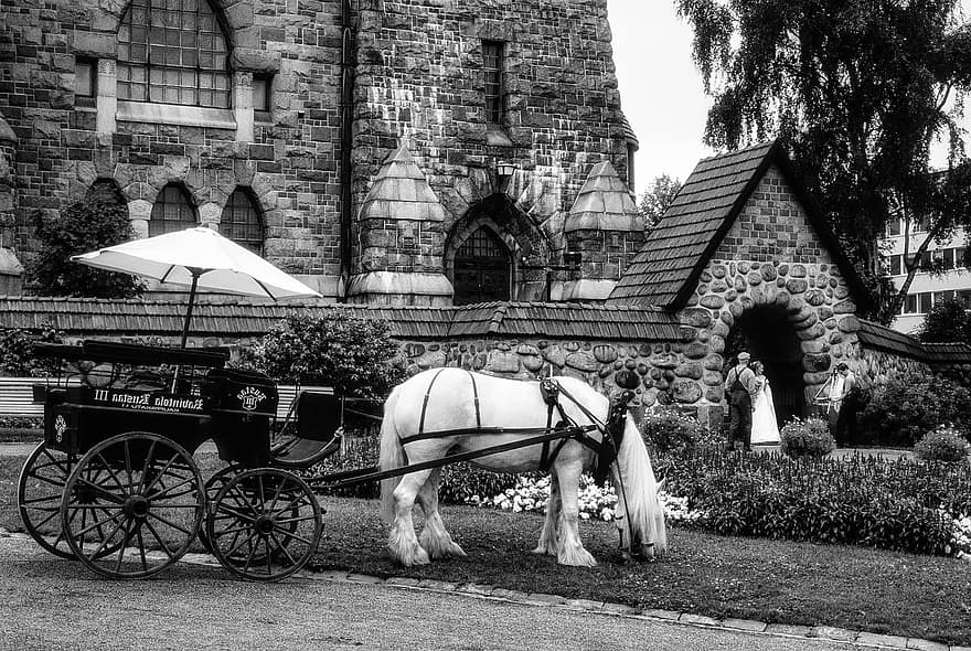 Chiesa, cavallo, carrello, carrozza, nozze, sposa, tradizionale, Tampere